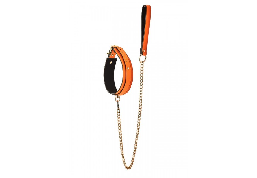 Dream Toys Radiant Glow In The Dark Collar & Leash Orange