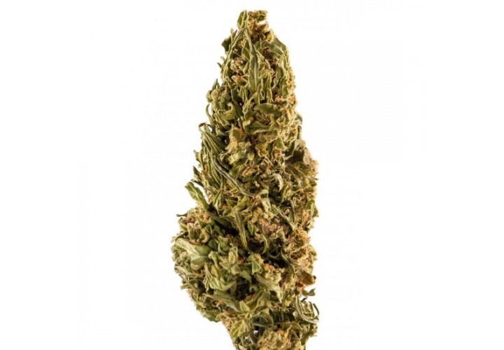 Ανθός Κάνναβης - Herbal Cannabis Pine Bud 100% CBD 2gr