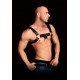 Shots Ouch Costas 1 Chest Harness