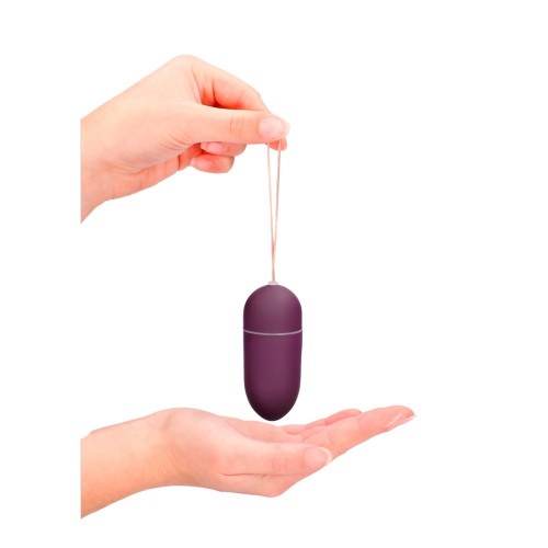 Shots Remote Control Vibrating Egg 10 Speed Large Purple