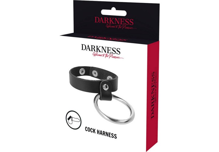 Darkness Metal Ring For The Penis And The Testicles
