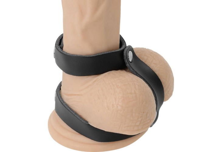 Darkness Adjustable Leather Penis & Testicles Ring