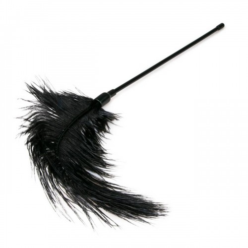 Μαύρο Φετιχιστικό Φτερό - Easy Toys Fetish Black Feather Tickler