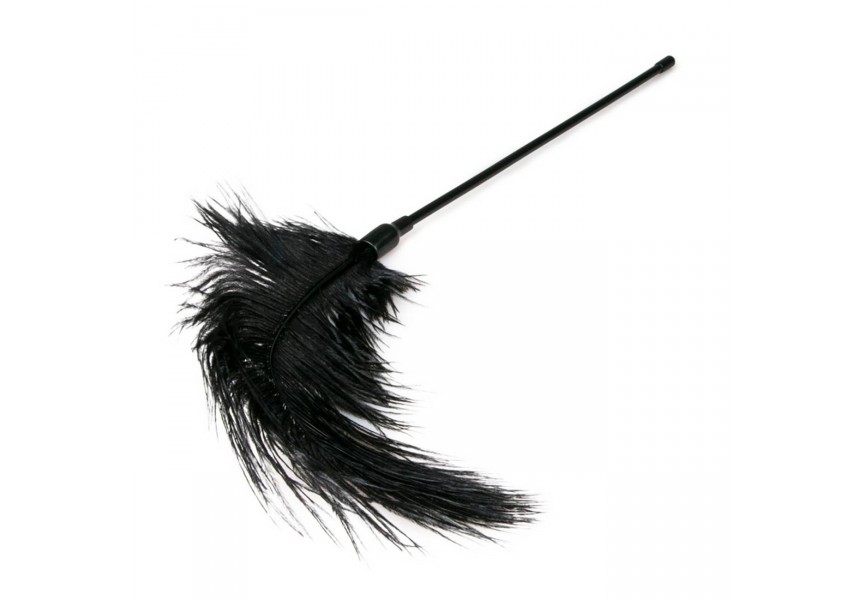 Easy Toys Fetish Black Feather Tickler