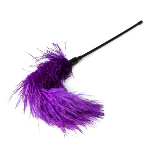 Μωβ Φτερό - Easy Toys Fetish Collection Purple Feather Tickler