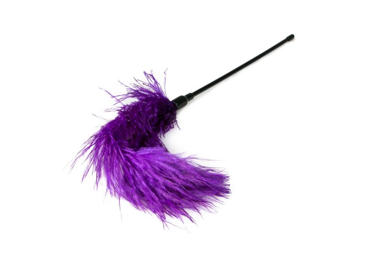 Easy Toys Fetish Collection Purple Feather Tickler