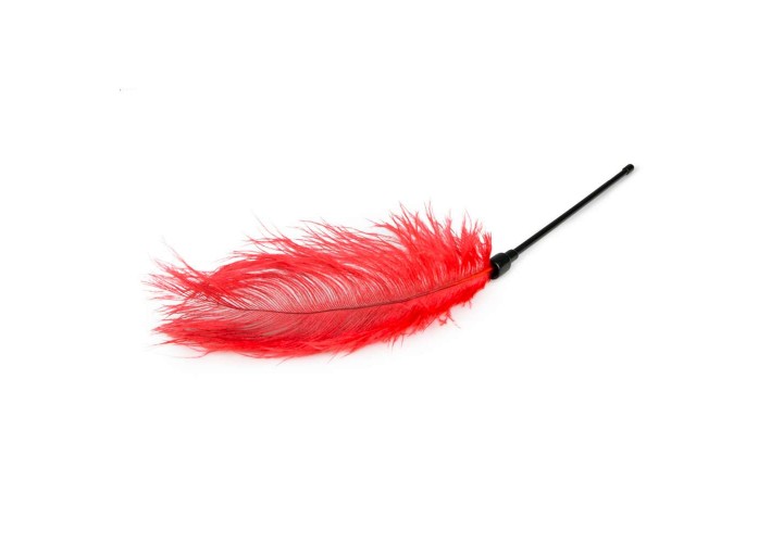 Κόκκινο Φετιχιστικό Φτερό - Easy Toys Fetish Collection Red Feather Tickler
