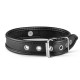 Whipped Connell Collar Black
