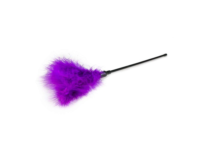 Μωβ Φτερό - Purple Long Feather Tickler