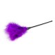 Μωβ Φτερό - Purple Long Feather Tickler