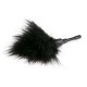 Μαύρο Φτερό Για Γαργάλημα - Easytoys Small Feather Tickler Black