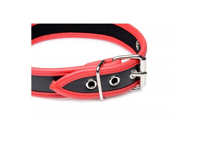 Δερμάτινο Κολάρο Με Κρίκο - Master Series Eye Catching Collar With O Ring Black/Red