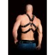 Shots Ouch Andreas Chest Harness Black