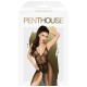 Penthouse Best Foreplay Teddy Black