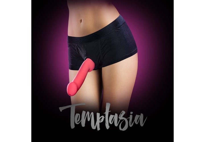 Εσώρουχο Στραπόν Με Υποδοχή Πέους - Temptasia Harness Briefs Medium Black