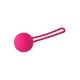 Ροζ Κολπική Μπάλα Σιλικόνης - Dream Toys Flirts Kegel Ball Pink