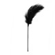 Easy Toys Fetish Black Feather Tickler