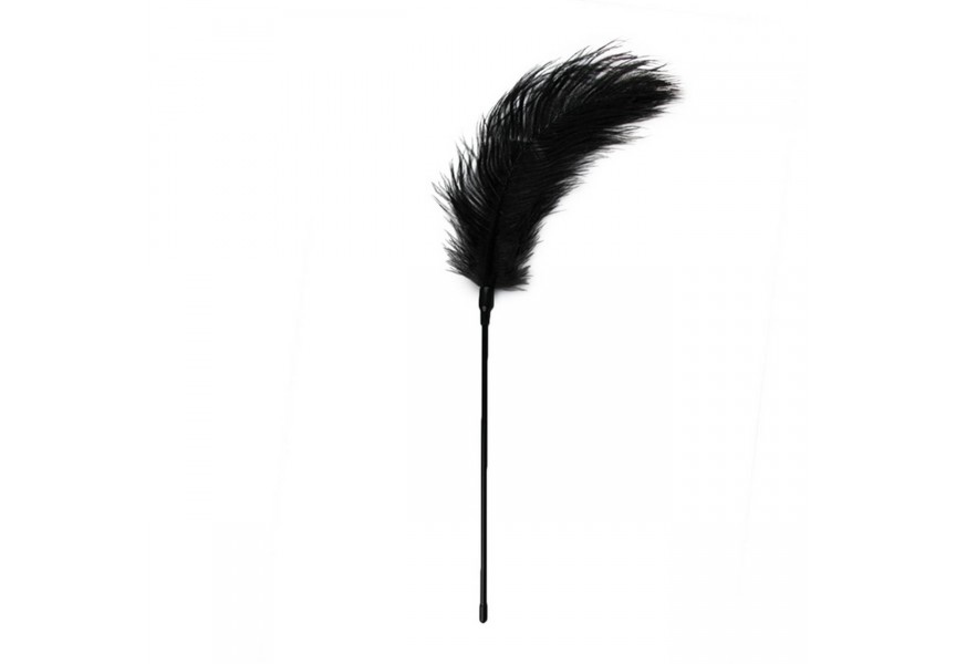 Μαύρο Φετιχιστικό Φτερό - Easy Toys Fetish Black Feather Tickler