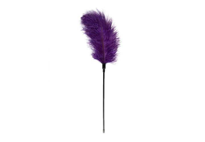 Easy Toys Fetish Collection Purple Feather Tickler