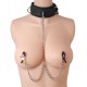 Κολάρο Με Κλιπς Θηλών - Submission Collar And Nipple Clamp Union