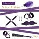 Σετ Φετιχιστικών Παιχνιδιών - Rs Soiree Kinky Me Softly Purple
