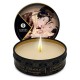 Κερί Μασάζ Με Άρωμα Σοκολάτα - Shunga Erotic Art Massage Candle Intoxicating Chocolate/Excitation 30ml