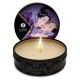 Κερί Μασάζ Με Άρωμα Εξωτικά Φρούτα - Shunga Erotic Art Massage Candle Exotic Fruits/Libido 30ml